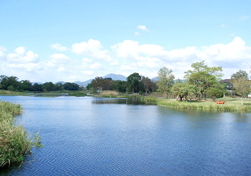 江津湖写真1